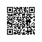 RNC55K2553FSRSL QRCode