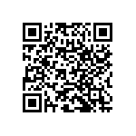 RNC60H3013BSRE6 QRCode