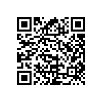 RNC60J4533FSRE6 QRCode