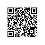 RNCF0402DKE910R QRCode