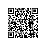 RNCF0402DTE2K43 QRCode