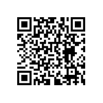 RNCF0402DTE301R QRCode