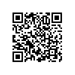 RNCF0805BKT13K3 QRCode