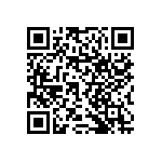 RNCF1206BTE13K0 QRCode