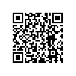 RNCF1206BTE95K3 QRCode