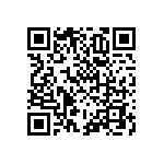 RNCF1206BTE9R53 QRCode