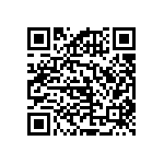 RNCF2512BKE113K QRCode