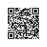 RNCF2512BKE1M58 QRCode