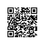 RNCF2512BKE301R QRCode