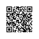 RNCF2512BTC24K9 QRCode