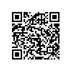 RNCF2512BTC301R QRCode