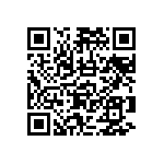 RNCF2512BTC3K16 QRCode