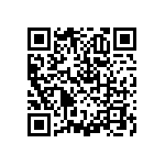 RNCF2512BTE1M33 QRCode