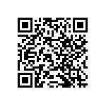 RNCF2512DKE13K7 QRCode