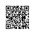 RNCF2512DKE300K QRCode