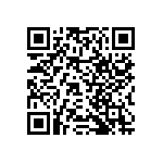 RNCF2512DTC13K3 QRCode