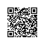 RNCF2512DTC24K3 QRCode