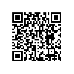 RNCF2512DTC9K31 QRCode