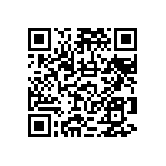 RNCF2512DTE301K QRCode