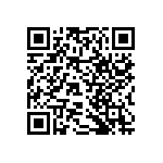 RNCF2512DTE383K QRCode