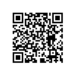 RNCP0805FTD392R QRCode