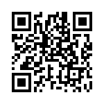 RNG_234 QRCode