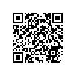 RNR55H1002BSRSL QRCode