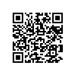 RNR55H1002FRB14 QRCode