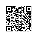 RNR55J2941DPBSL QRCode