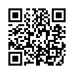 RP1E100RPTR QRCode