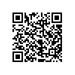 RPE5C1H1R2C2P1B03B QRCode