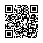 RR0306P-911-D QRCode