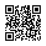 RSE500211 QRCode