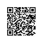 RT0201BRE07499RL QRCode