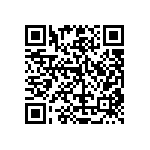 RT0201FRE071K13L QRCode