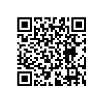 RT0603BRB07294KL QRCode