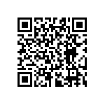 RT0603FRD07324KL QRCode