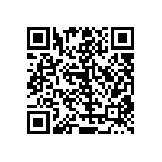 RT1206BRB07300KL QRCode