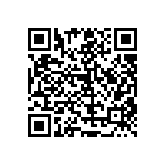 RT1206BRC07102KL QRCode