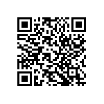 RT1206BRC0724RL QRCode