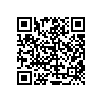 RT1206BRC0728K7L QRCode