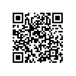 RT1206BRC07300KL QRCode