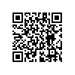 RT1206BRC07392RL QRCode