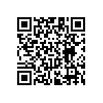 RT1206BRC073K4L QRCode