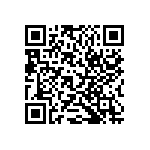 RT1206BRC073K9L QRCode