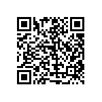 RT1206BRC07412RL QRCode