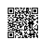 RT1206BRC074K99L QRCode