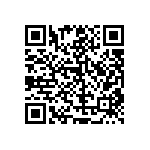 RT1206BRD07102KL QRCode