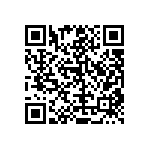 RT1206BRD072K49L QRCode