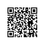 RT1206BRD07383KL QRCode